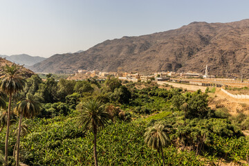 Fototapeta na wymiar Landscape of Thee Ain ( Dhi Ayn) village, Saudi Arabia
