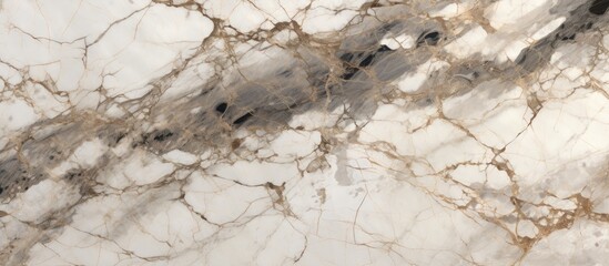 A detailed shot showcasing the intricate patterns of a white and brown marble texture, resembling a mix of soil, bedrock, and wood patterns found in nature
