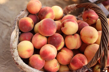 peaches in a basket
