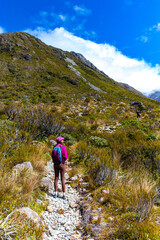 hiker girl enjoys a scenic path in southern alps - otira valley track in canterbury, new zealand south island, arthur's pass national park
