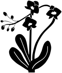 orchid illustration plant silhouette flower logo leaf icon bloom outline flora botany floral nature tropical botanical garden natural blossom shape bouquet decoration exotic for vector graphic