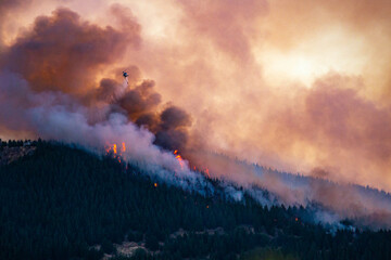 a dramatic picture of bush fires in Port Hills (Christchurch, Canterbury, New Zealand South Island) and firefighter helicopters carrying water to extinguish