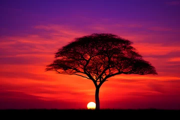 Papier Peint photo autocollant Rouge Resplendent Sunset Over the Horizon: A Spectacular Display of Nature's Twilight Colors and the Silhouette of a Solitary Tree