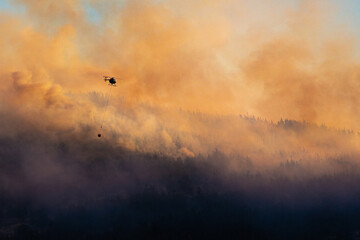 a dramatic picture of bush fires in Port Hills (Christchurch, Canterbury, New Zealand South Island) and firefighter helicopters carrying water to extinguish