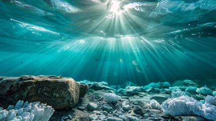 Foto auf Alu-Dibond A view of the sun shining through a coral reef, AI © starush