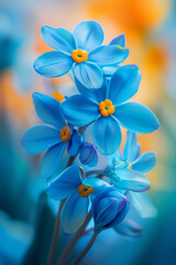 Beautiful flowers in yellow and blue shades with beautiful blurred background and nice lighting