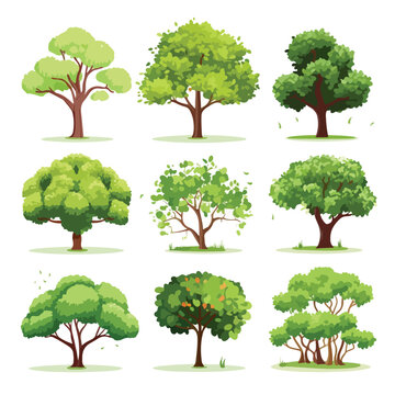 set trees nature flat vector illustration isloated