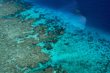 The Great Barrier Reef Australia