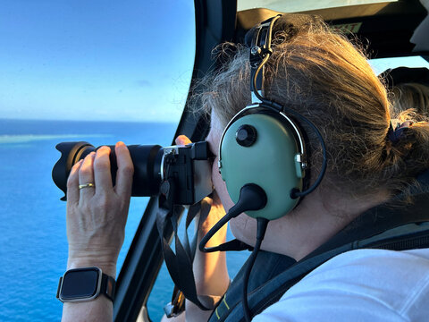 Fototapeta Tourist taking photos of Great Barrier Reef