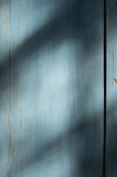 Texture & Shadow