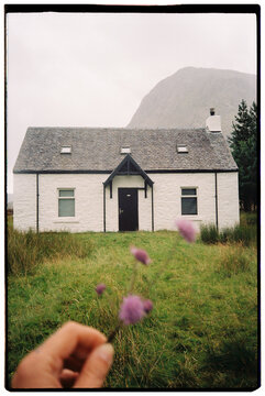 purple flowers held in one hand and a typical Scottish house in the ba