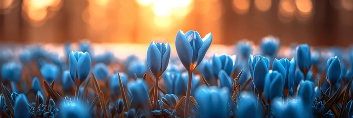 Foto op Plexiglas Beautiful spring banner with blue flowers in pastel colors, copy space © Irène