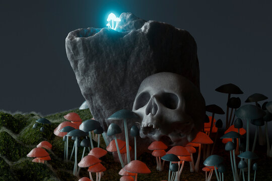 glowing mushrooms and human skull