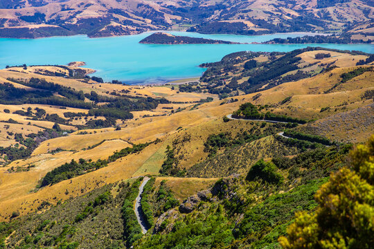 panorama of banks peninsula with winding road on a hill near akaroa harbour; canterbury, new zealand south island