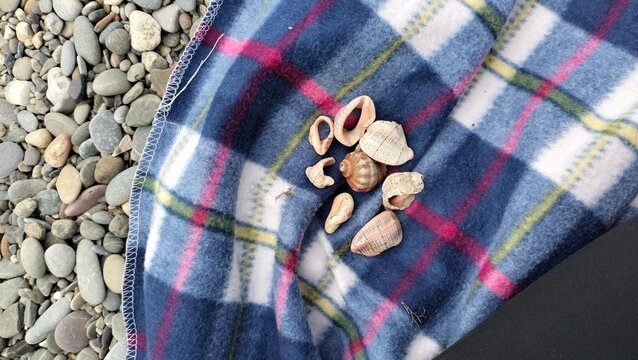  The Shells