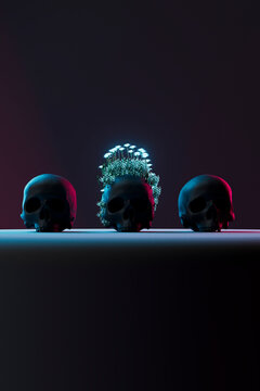three skulls with flowers