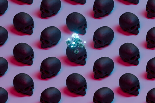 many dark skulls