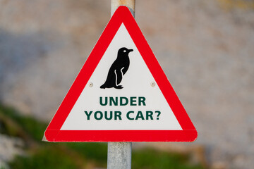 Penguin under your car sign, travel south africa