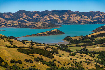 panorama of banks peninsula and akaroa harbour as seen from the top of the hill in otepatotu scenic...