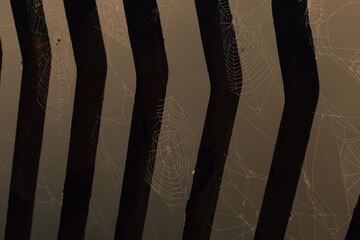 The web between the bars of the fence