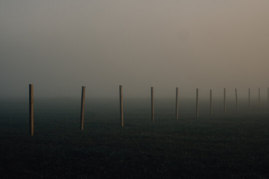 Wooden poles standing in a row in a foggy field. 