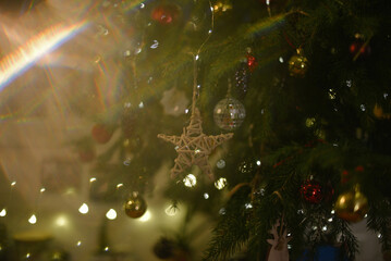 A Xmas star a tree decorated in evening lights