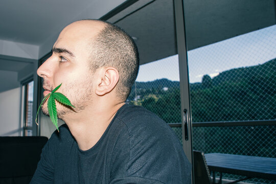 weed portrait