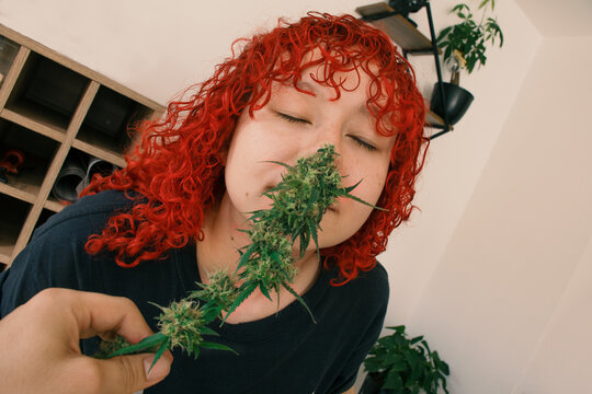 Weed smell 