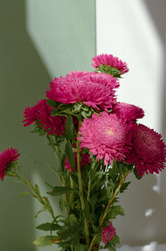 
bouquet of crimson flowers