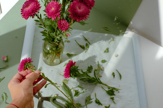 hands of a florist who trims flower stems