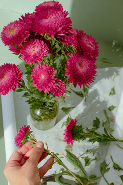 hands of a florist who trims flower stems