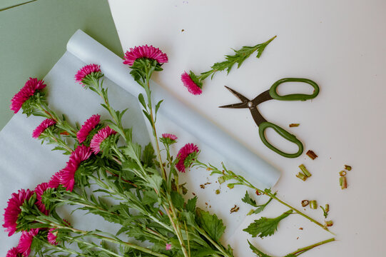 
crimson flowers on a green background