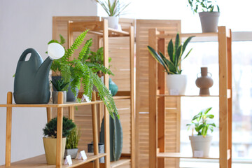 Shelf unit with plants and watering can in flower shop