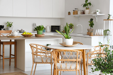 Stylish interior of modern kitchen with armchairs, dining table, houseplants and counters