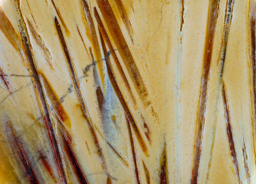 Filamentous and flocculent agate symbiosis of crystal