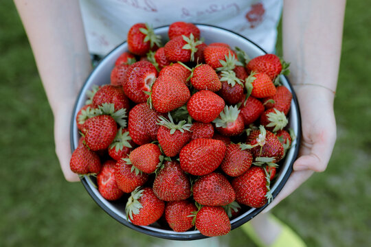 delicious strawberry