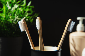 Natural bamboo toothbrushes, plant, towels on a black background.