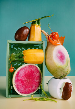 Set with different seasonal vegetables.