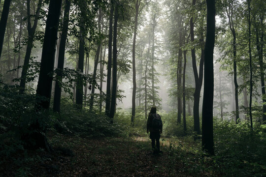 Traveler in enchanted foggy forest