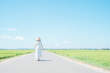 青空の下、田んぼ道を歩く白いワンピースの女性