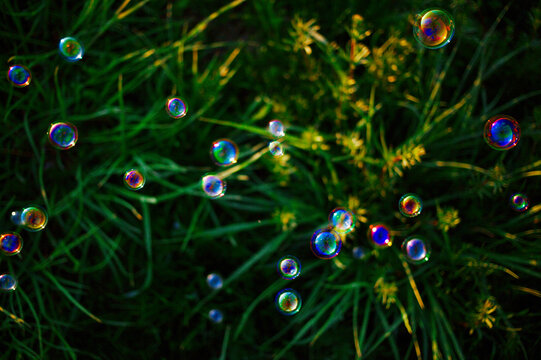 Soap bubbles grass summer nature background
