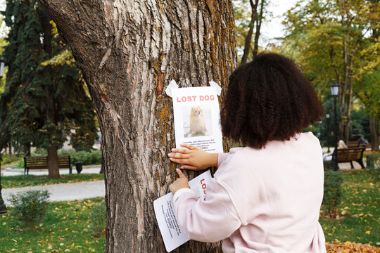 Female attaching poster of missing spitz in city park