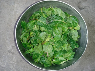 fresh green lettuce in a bowl on grey background 