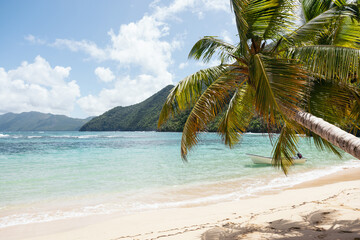 Exotic beach of the Caribbean Sea