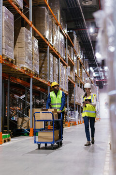 Storage room stewardship operating. Sorting packages