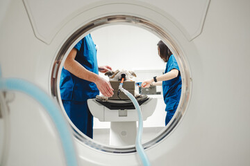 Crop vets performing tomography to dog in clinic