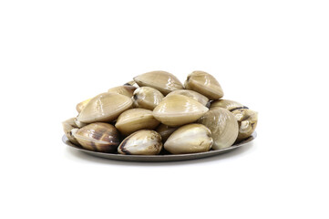 Closed up fresh baby clams, venus shell, shellfish, carpet clams, short necked clams, as raw food from the sea are the seafood ingredients. fresh clams isolated on white background.