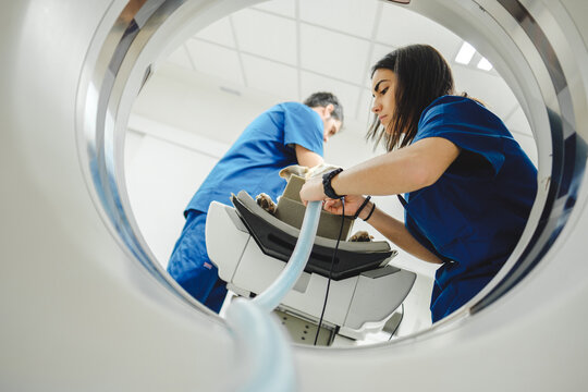 Veterinarians fix dog's breathing tube using MRI