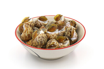 Roasted Sweet shellfish isolated on white background. Fresh seafood.