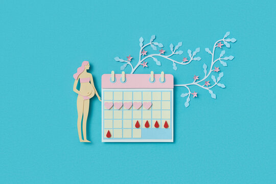 Paper pregnant woman standing near calendar showing menstrual cycle